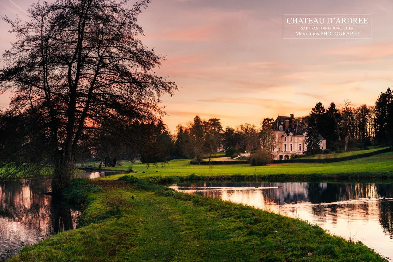 Chateau D'Ardree Bed and Breakfast Saint-Antoine-du-Rocher Buitenkant foto