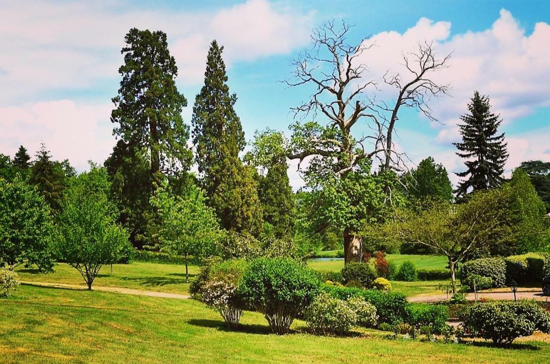 Chateau D'Ardree Bed and Breakfast Saint-Antoine-du-Rocher Buitenkant foto
