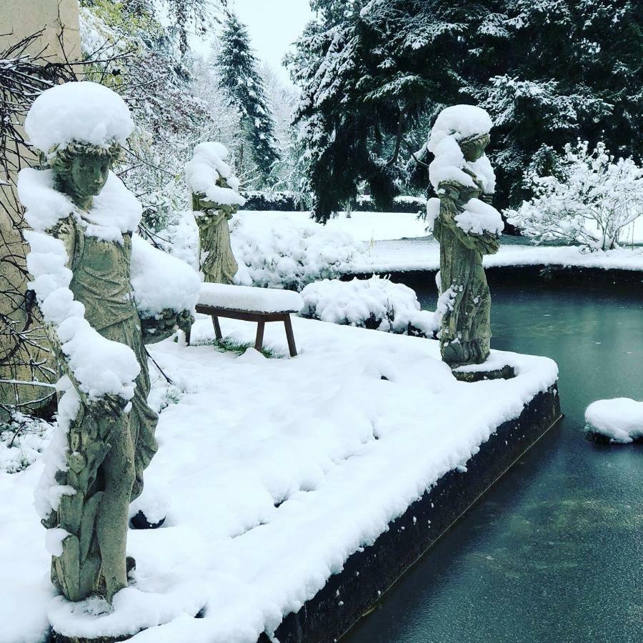 Chateau D'Ardree Bed and Breakfast Saint-Antoine-du-Rocher Buitenkant foto